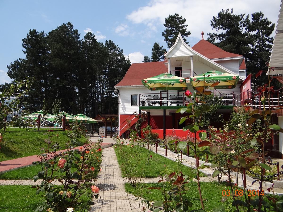 Cabana Pensiune La Brazi Vulcan (Hunedoara) Exterior photo