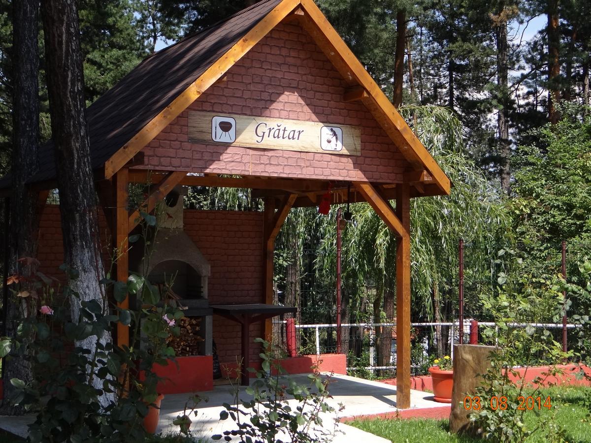 Cabana Pensiune La Brazi Vulcan (Hunedoara) Exterior photo
