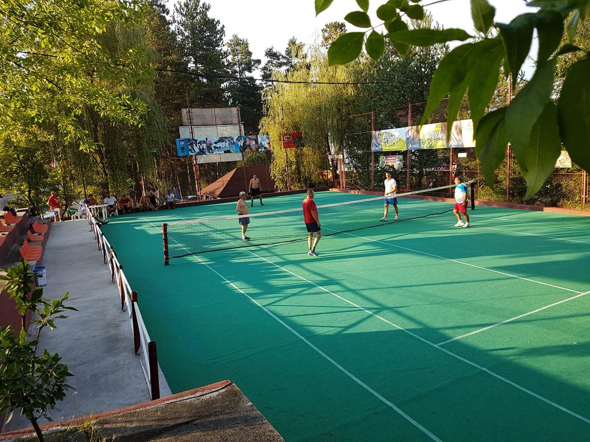 Cabana Pensiune La Brazi Vulcan (Hunedoara) Exterior photo